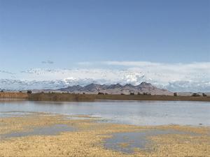 Colusa National Wildlife Refuge