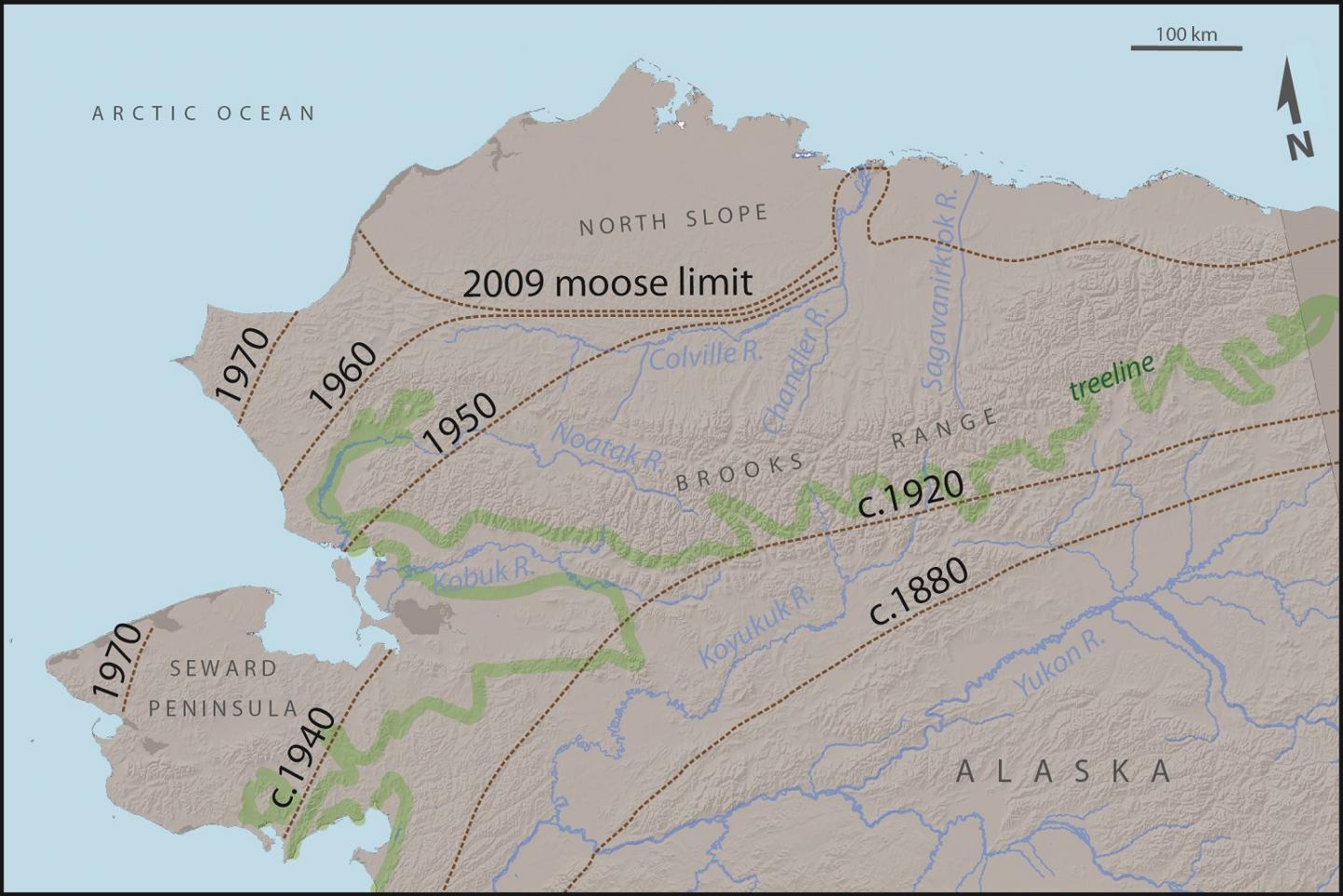 Twentieth Century Warming Allowed Moose to Colonize the Alaskan Tundra