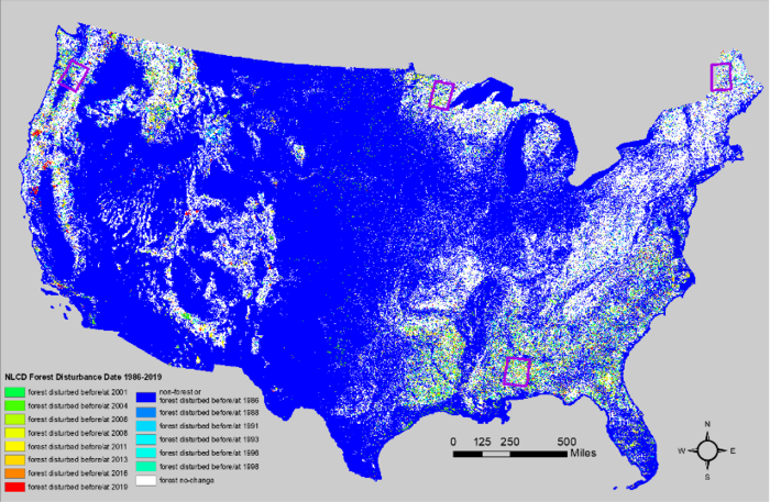 A New Tool for Deforestation Detection