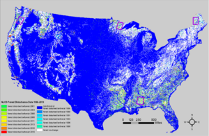 NLCD 1986-2019 forest disturbance product