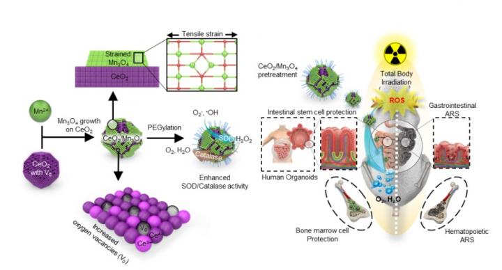 CeO2/Mn3O4 Nanocrystals