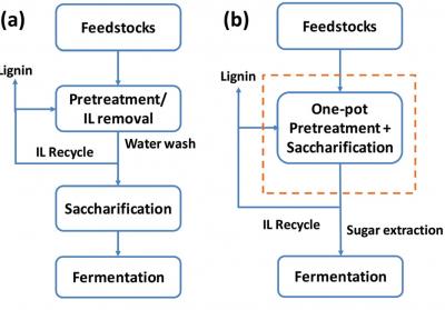 1-Pot Biomass Processing System