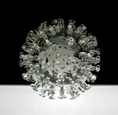 SARS Coronavirus