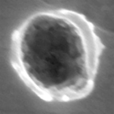 Foil Cavity from Interstellar Dust Impact