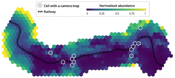 A map showing estimated abundance along a railway section