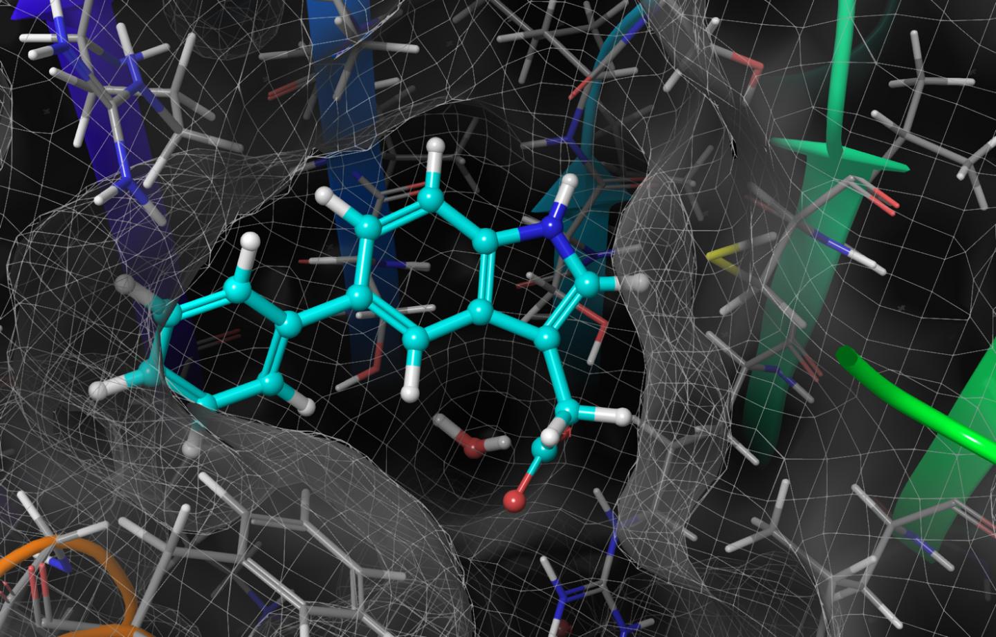 Synthetic Auxin/receptor Pair