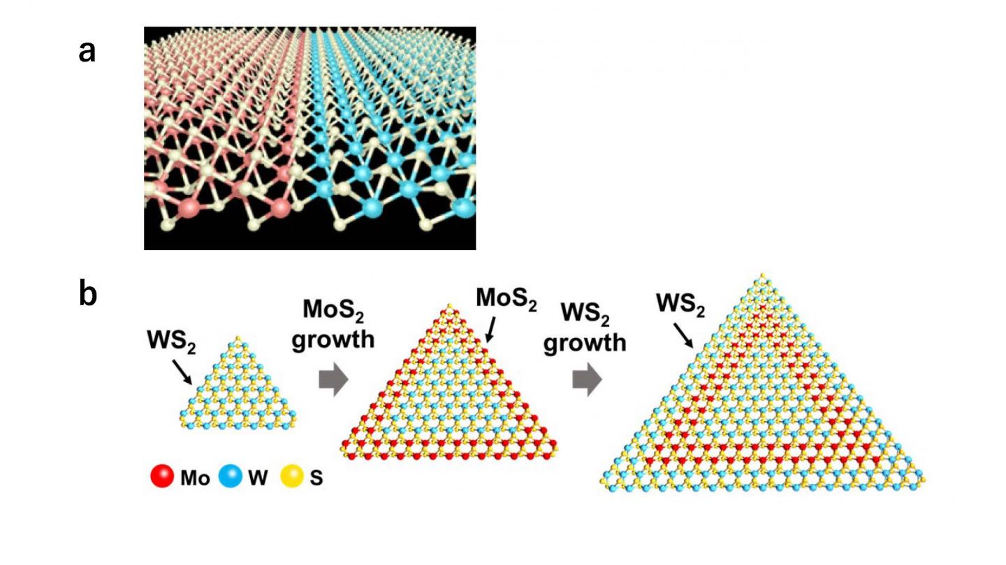 Structure of a Perfect TMDC Heterostructure Interface