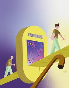 Gateway Illustration: Taurine May Be a Key to Longer and Healthier Life