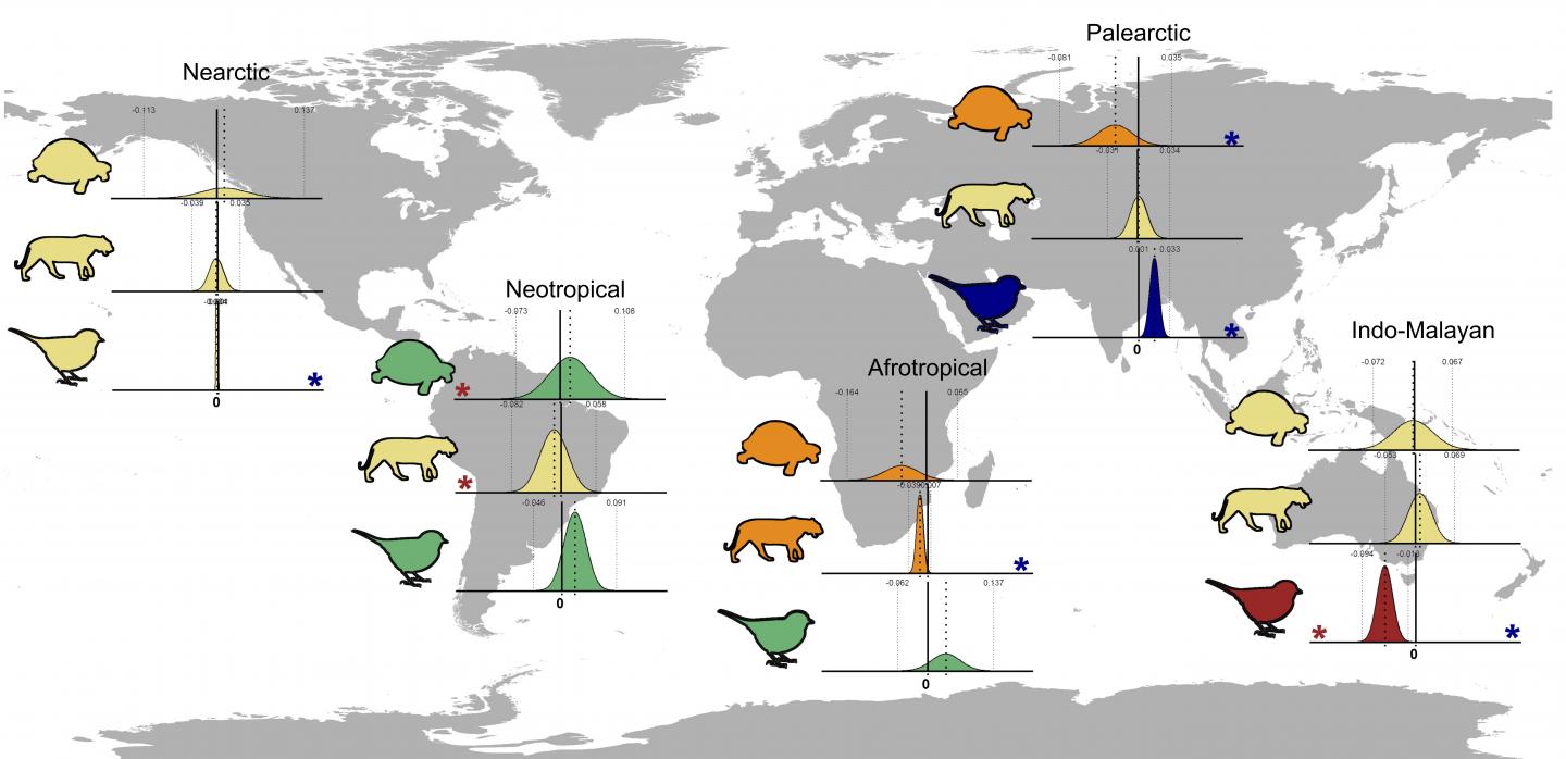 Population trends by taxonomic groups and realm for terrestrial vertebrates