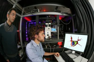 A Holographic Microscope to Peep Deep into Live Cells