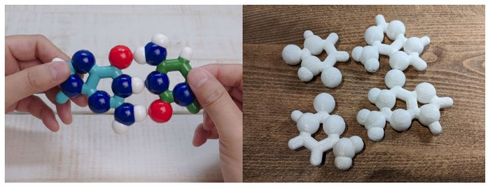 BasePairPuzzle: A 3D-printed molecular model to teach nucleobase pairing