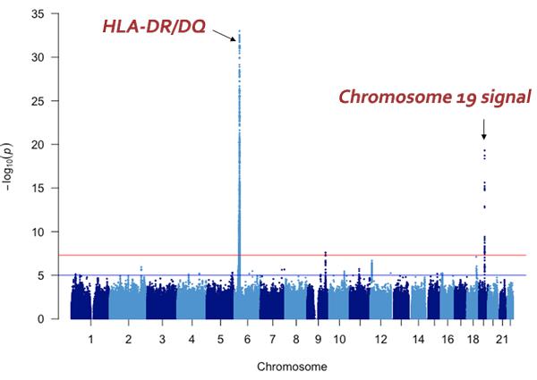 Figure 1: Manhattan Plot of the Genome-wide Association Study.