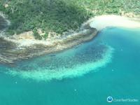 Climate Change Triggers Great Barrier Reef Bleaching