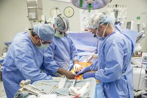 Vanderbilt Transplant Center Sets World Record for Heart Transplants in 2024