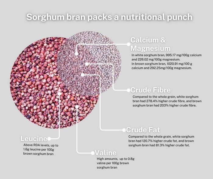 Sorghum bran packs high levels of minerals and essential amino acids