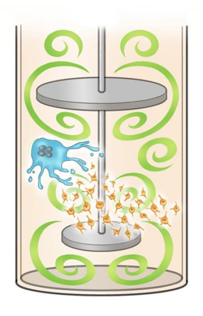 Bioreactor that Generates Turbulence to Enhance the Production of Platelets