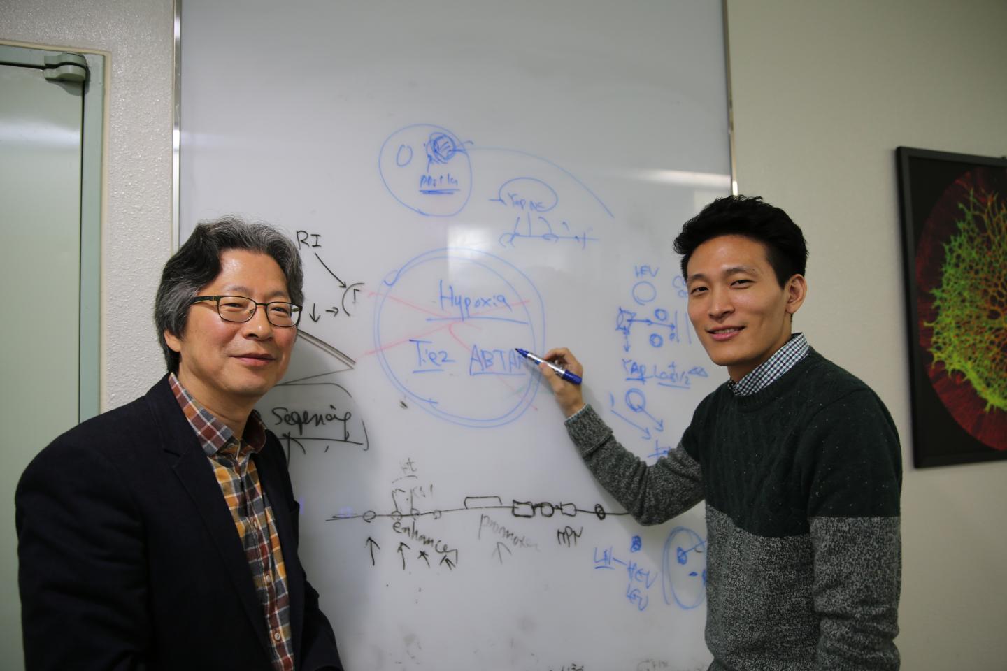 Authors of the Study