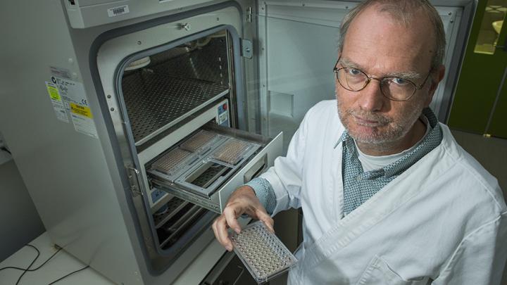 Stefan Broeer, Australian National University