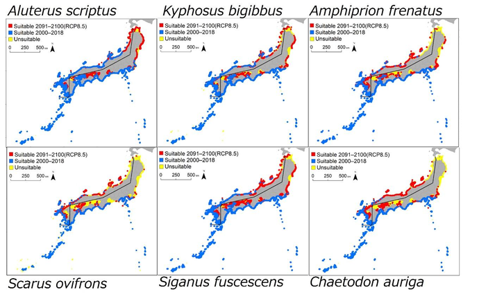 Maps showing the distribution and predicted distribution for each of the six fish species until the year 2100