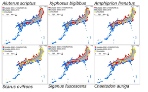 Maps showing the distribution and predicted distribution for each of the six fish species until the year 2100