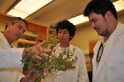 Louis Santiago, Fortino Morales, Jeffrey Ambriz, University of California - Riverside