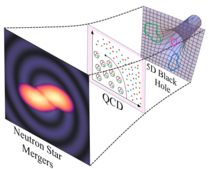 Five-dimensional black holes