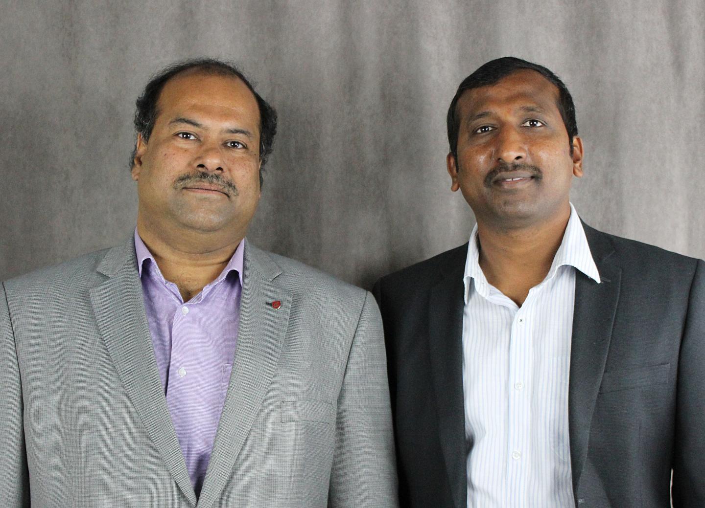 Partha Pande, Washington State University 