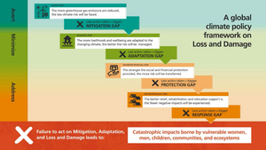 A global climate policy framework on Loss and Damage