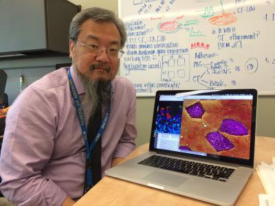 David Lo, University of California - Riverside