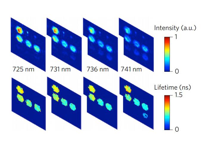 Fast, Economical Optical Bio-imaging