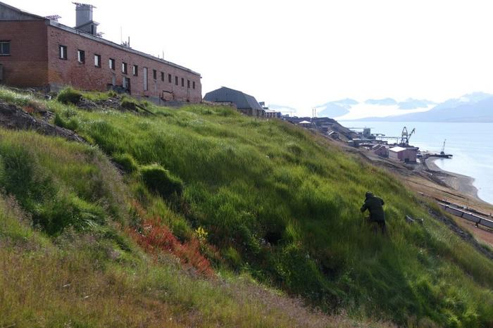 The Russian town of Barentsburg on Svalbard