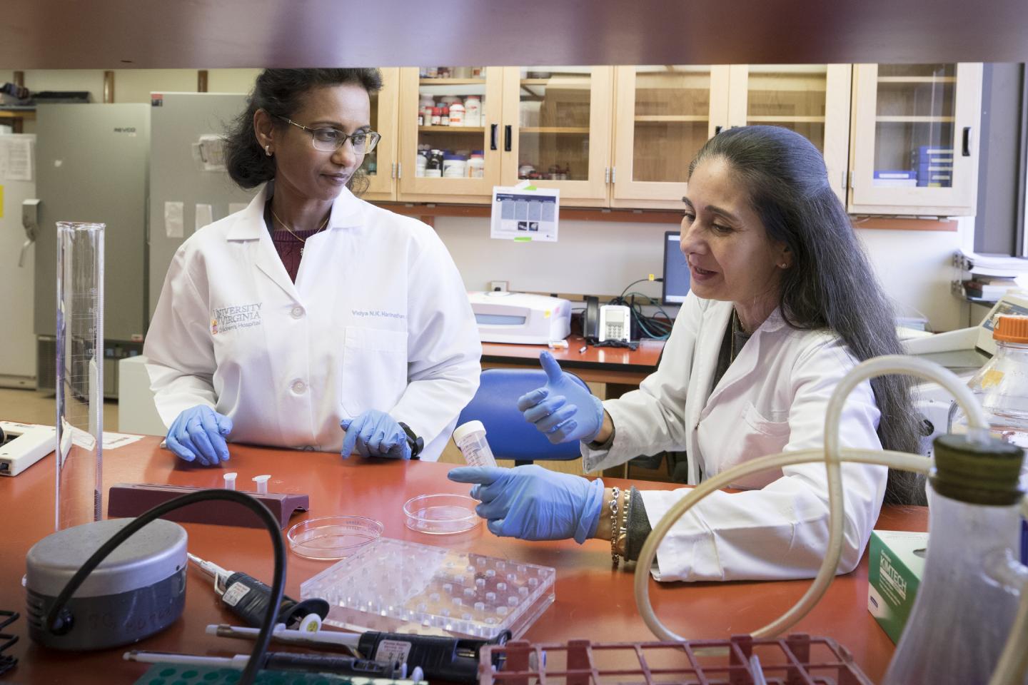 Scientists Seeking to Regrow Kidneys Make Promising Discovery