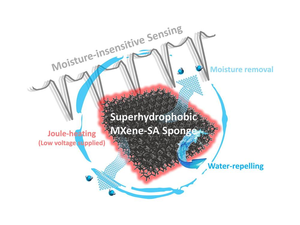 superhydrophobic