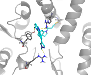 Targeting chaperon protein HSP70 as a novel therapeutic strategy for FLT3-ITD-positive acute myeloid leukemia