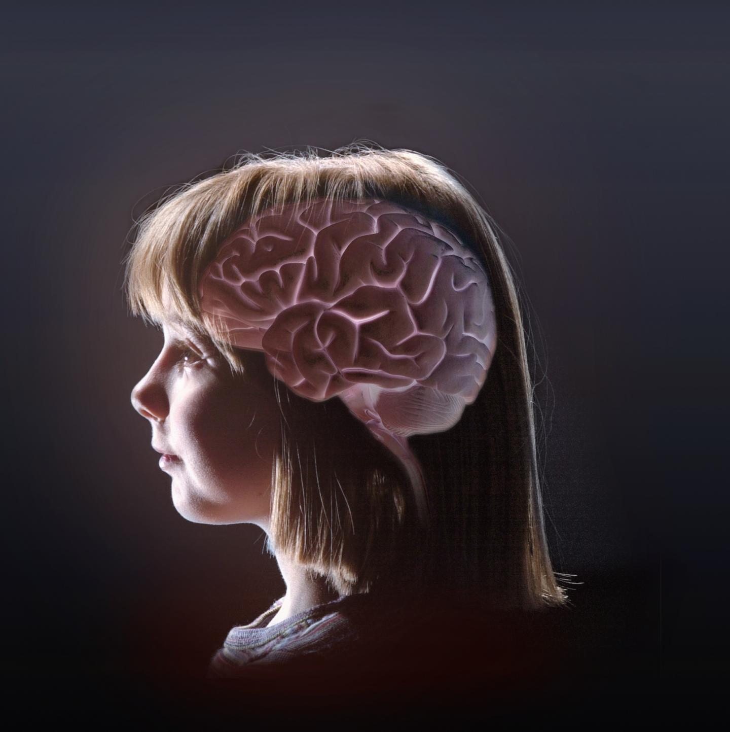 Girl and Brain