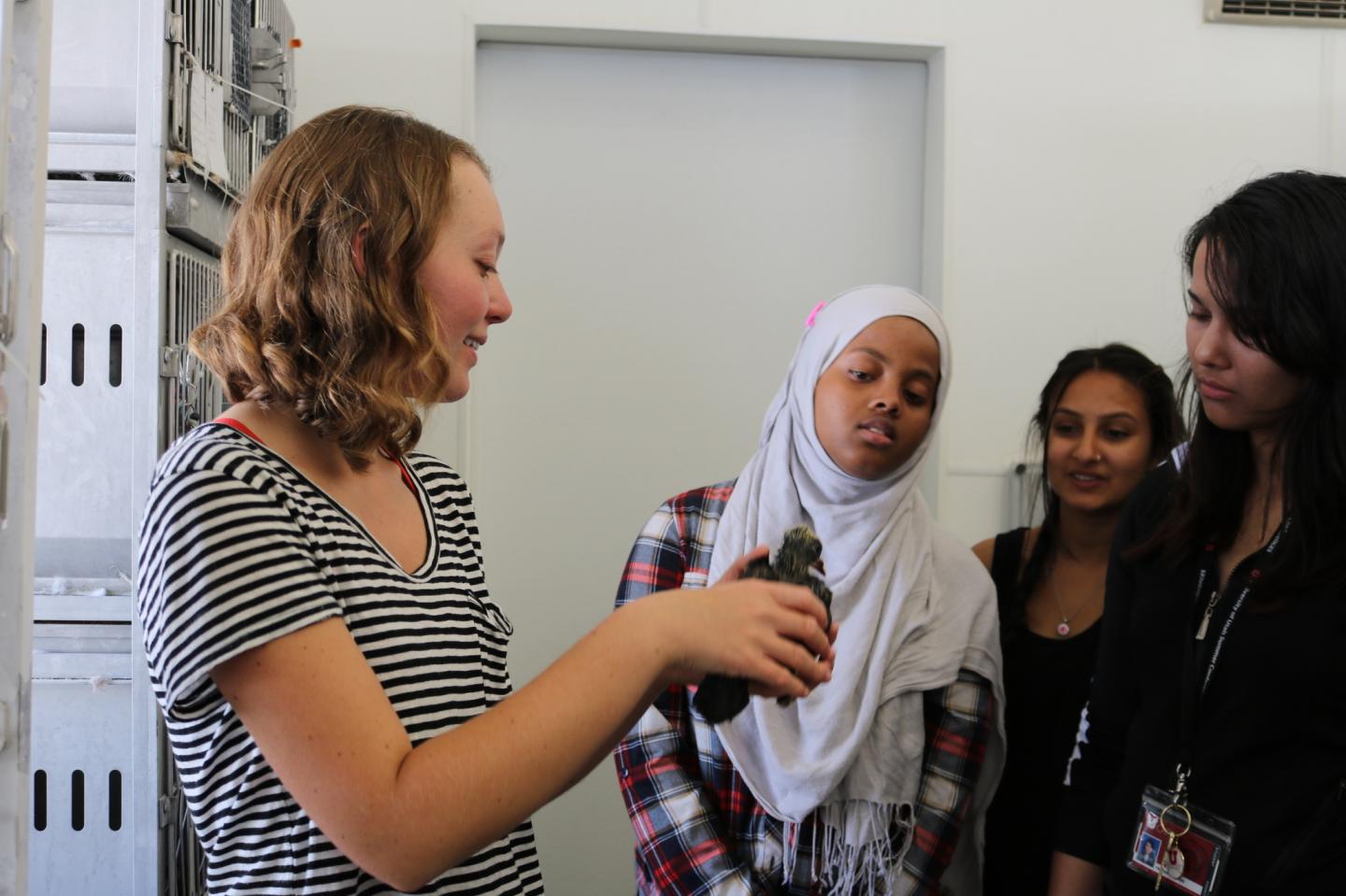 Anna Vickrey, University of Utah