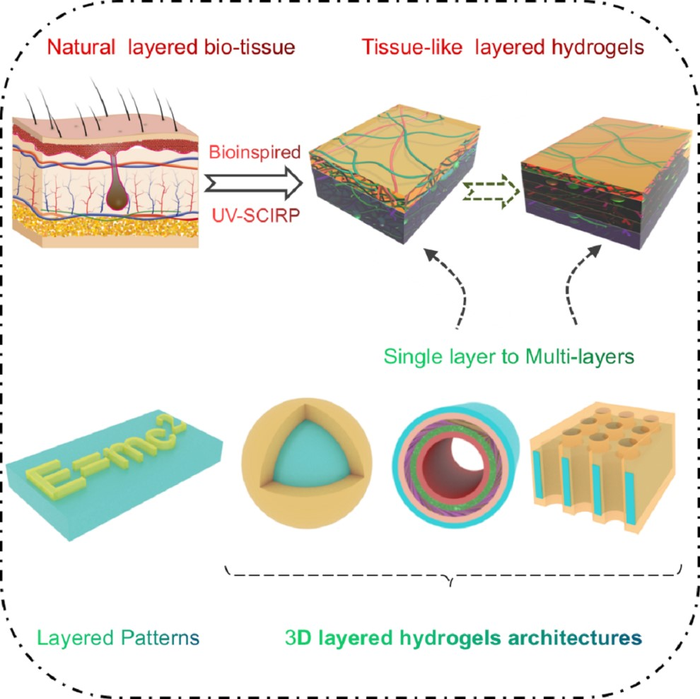 Drawing of constructing tissues-like layered hydrogels
