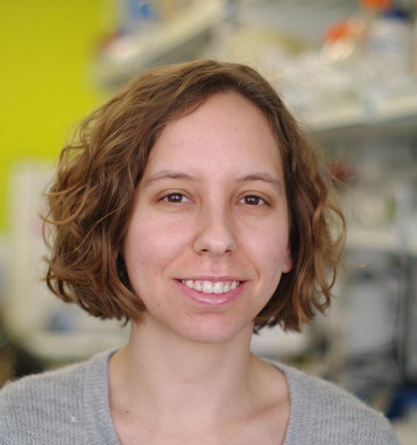 Celeste Karch, Washington University School of Medicine