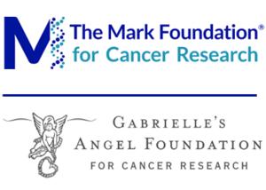 The Mark Foundation for Cancer Research Partners with Gabrielle's Angel Foundation for Cancer Research to Jointly Fund Two Collaborative Grants Totaling $1M