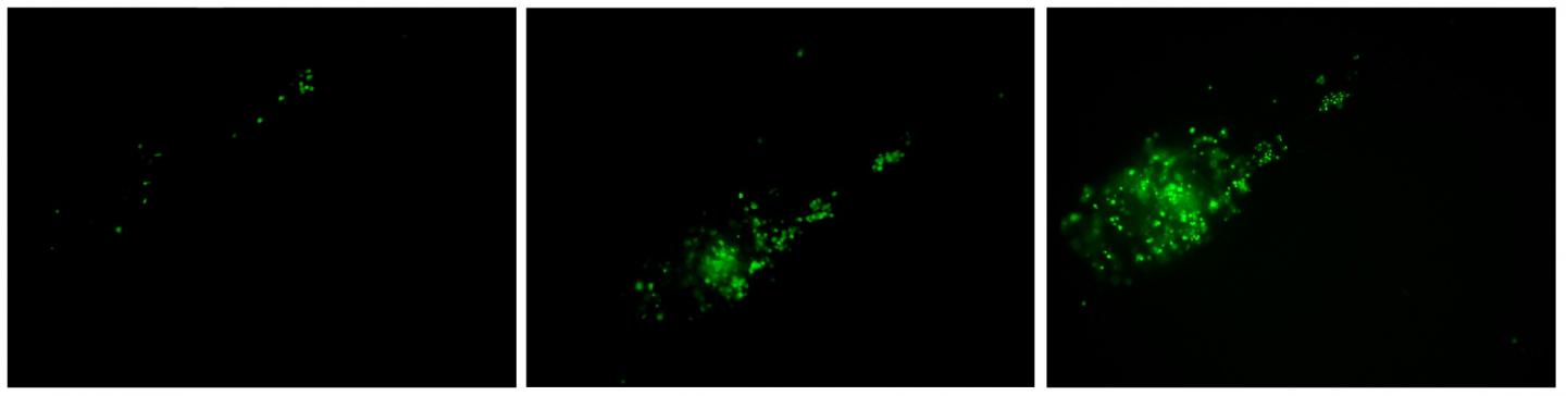 Another Striking Image