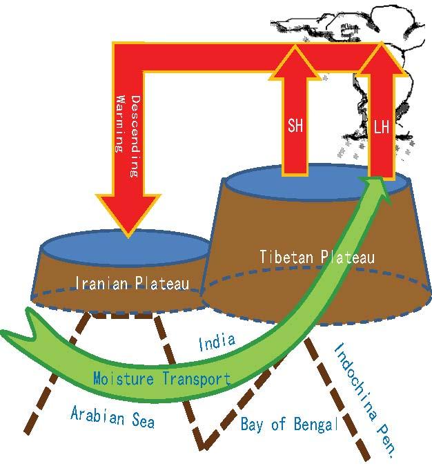 Feedback Coupling System