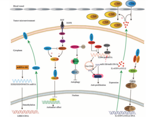 LRRC4 and its role in combating an aggressive form of brain cancer