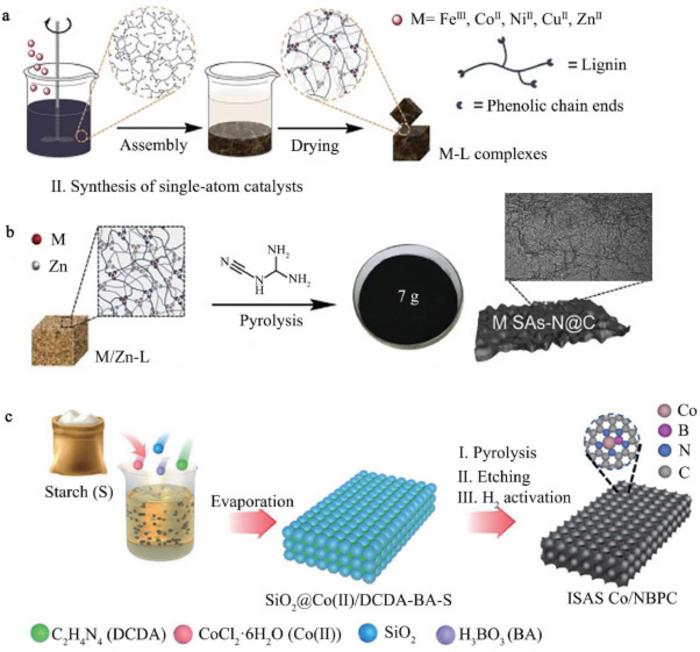 Revolutionary Biomass-Derived Catalysts Pave the Way for Sustainable Chemical Production