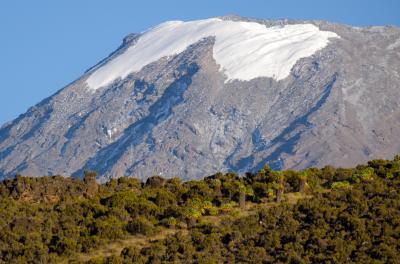 Kilimanjaro