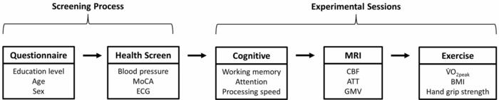 Determinants of cerebral blood flow and arterial transit time in healthy older adults