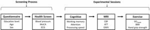 Determinants of cerebral blood flow and arterial transit time in healthy older adults