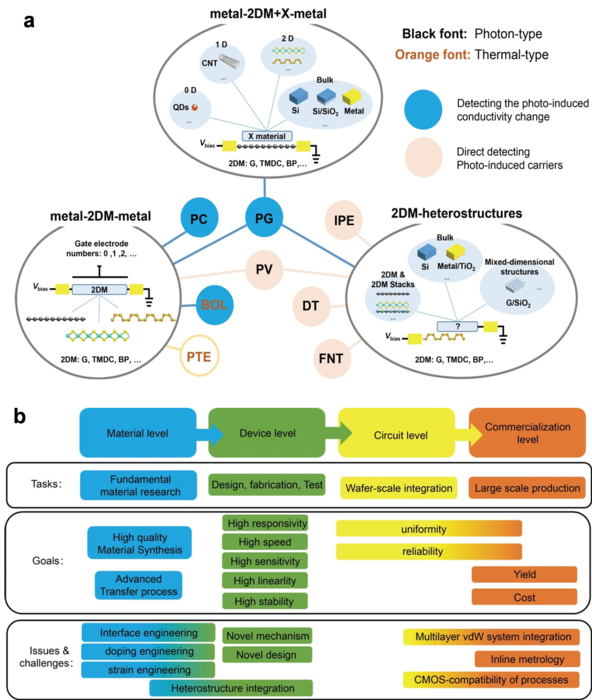 Device configurations and developments of silicon/2DM PDs