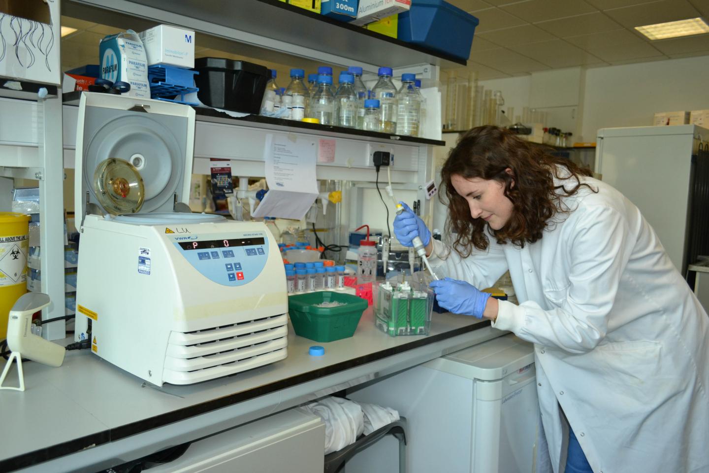 Researcher in the Lab