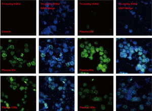 Scientists Reveal Epigenetic Regulation Mechanism of Stimulated Astaxanthin Accumulation in H. Pluvialis