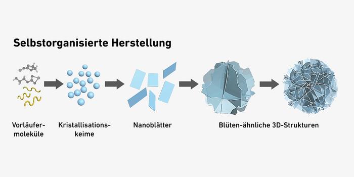 Self-organised assembly of flower-like particles